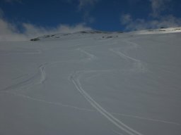 L&#039;Ouille Allegra